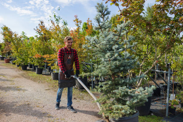  Kalama, WA Tree Services Pros